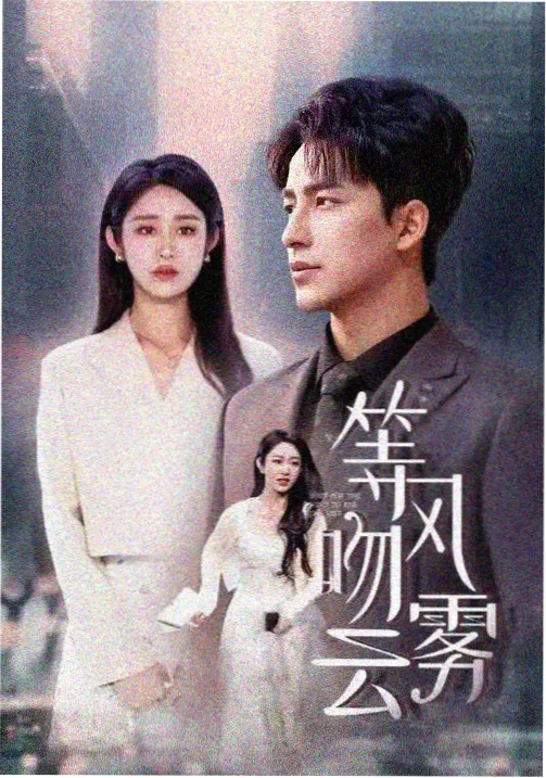 剧集雾港长夜封面图